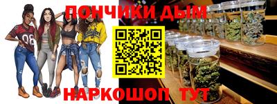 спиды Гатчина