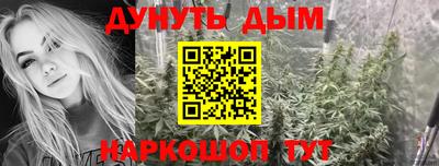 спиды Гатчина