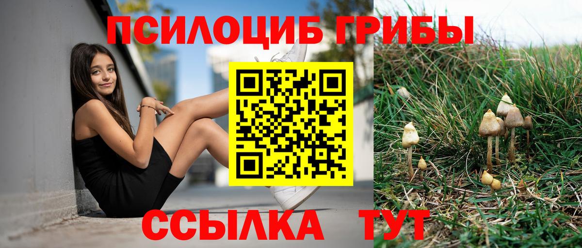 Псилоцибиновые грибы прущие грибы Северодвинск