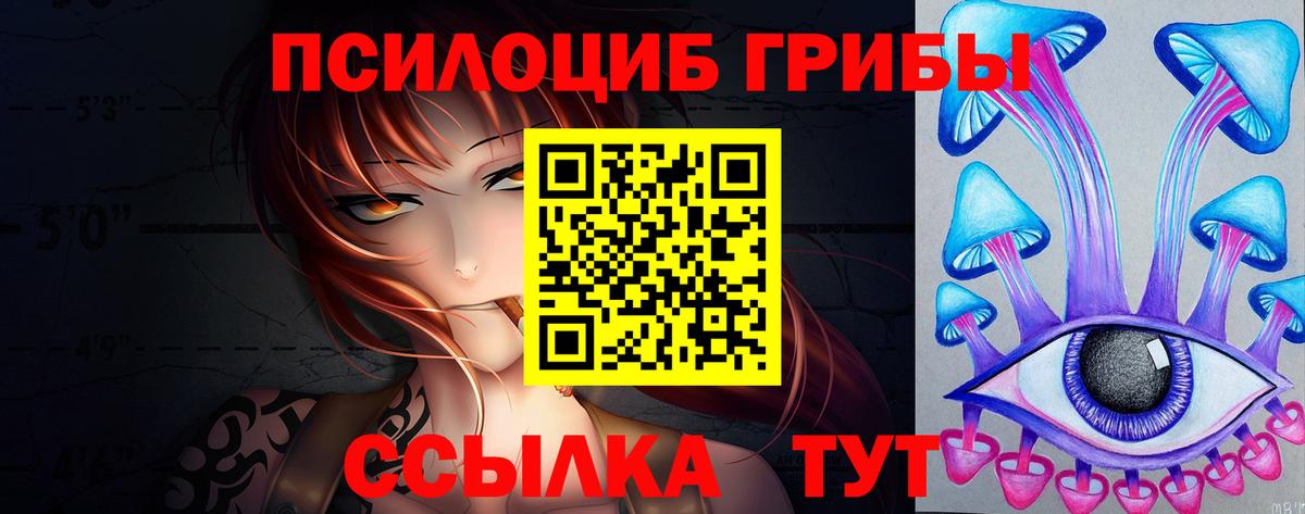 Северодвинск  Галлюциногенные грибы Psilocybine cubensis  Вход с VPN  Галлюциногенные грибы Psilocybe 